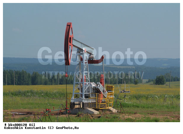 oil, �����, ������, ����������, ���������������, �����������, ����������������, ��������, �������� ��������, �������� ����������, ����������