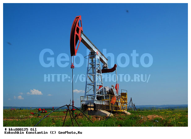 oil, �����, ������, ����������, ���������������, �����������, ����������������, ��������, �������� ��������, �������� ����������, ����������