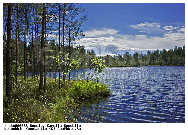 �������, ������� �����, �����, ����, ��������, ����, �����, ������