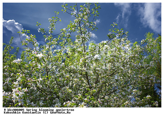 �����, � �����, �������, ���, ���������, ������, ��������, ������