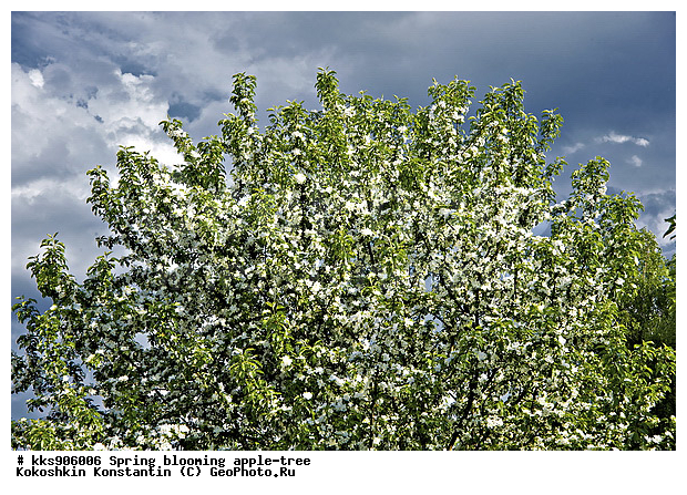 �����, � �����, �������, ���, ���������, ������, ��������, ������