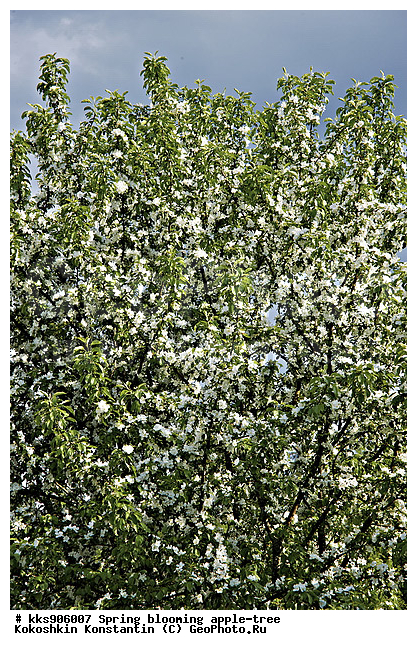 �����, � �����, �������, ���, ���������, ������, ��������, ������