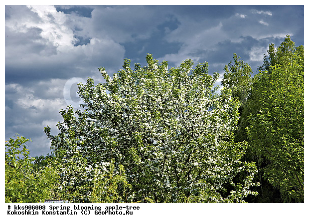 �����, � �����, �������, ���, ���������, ������, ��������, ������