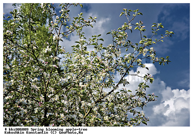 �����, � �����, �������, ���, ���������, ������, ��������, ������