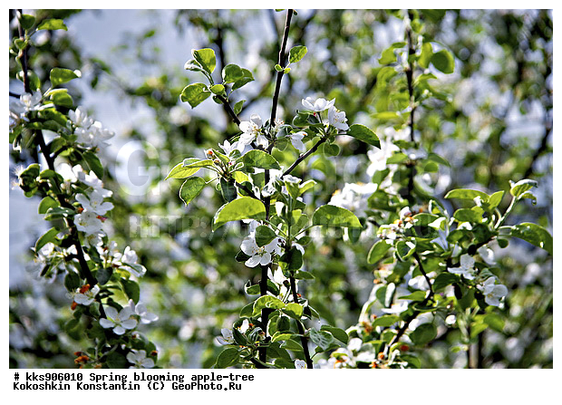 �����, � �����, �������, ���, ���������, ������, ��������, ������