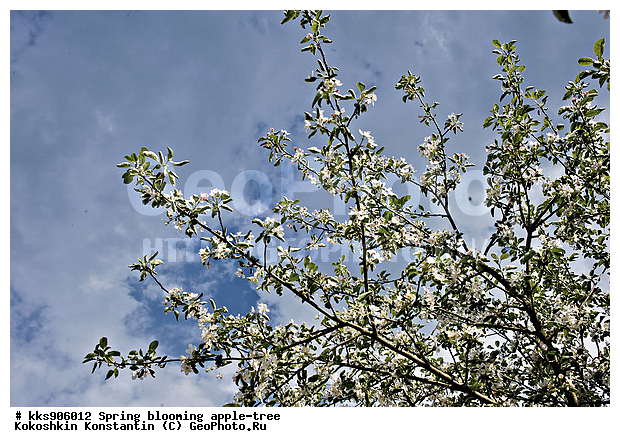 �����, � �����, �������, ���, ���������, ������, ��������, ������