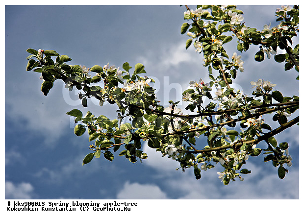 �����, � �����, �������, ���, ���������, ������, ��������, ������