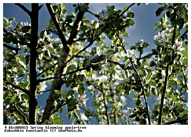 �����, � �����, �������, ���, ���������, ������, ��������, ������