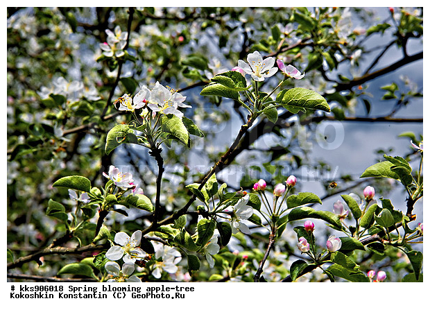 �����, � �����, �������, ���, ���������, ������, ��������, ������