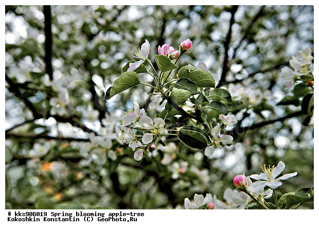 �����, � �����, �������, ���, ���������, ������, ��������, ������