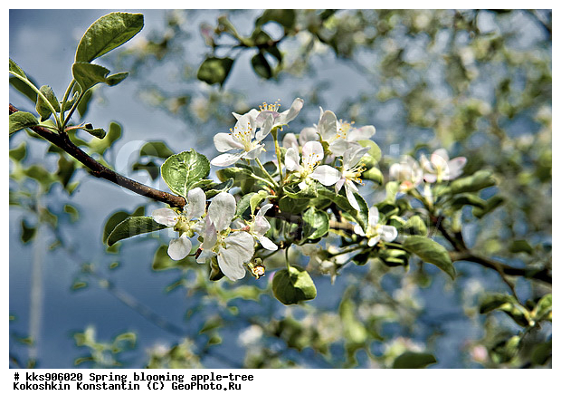 �����, � �����, �������, ���, ���������, ������, ��������, ������