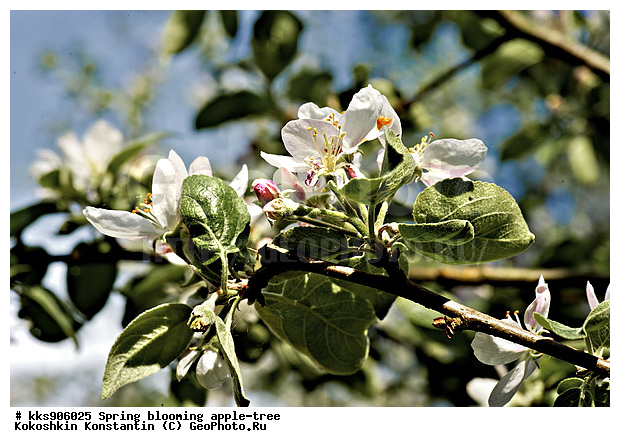 �����, � �����, �������, ���, ���������, ������, ��������, ������