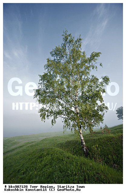 �����, �������, ������, ��������, �����, ������, �, ��������, �����, �������, �������, �������, ������, ����, ��������, ���, ������, ����, ������, ���, �� �����, �������, ����, �������, ��������������, �������, ����, ������, ����, ������, ��������, �������, �����, �����, ��������, ��������, ����