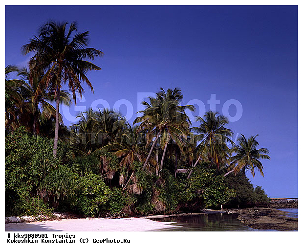 ������, ����, �����, ���, �������