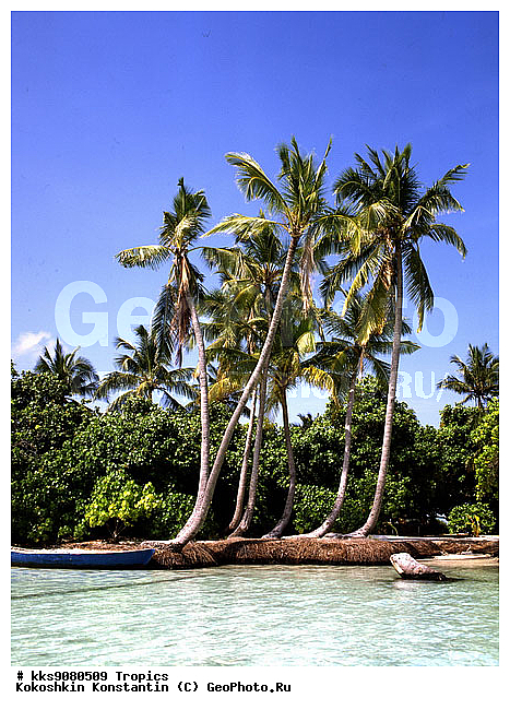 ������, ����, �����, ���, �������