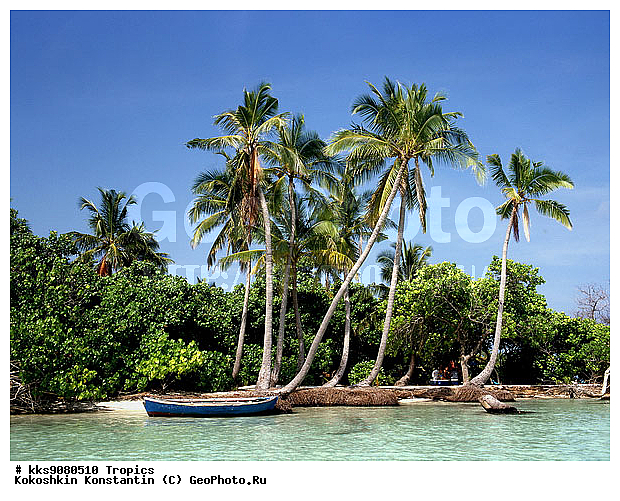 ������, ����, �����, ���, �������