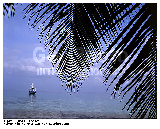 ������, ����, �����, ���, �������