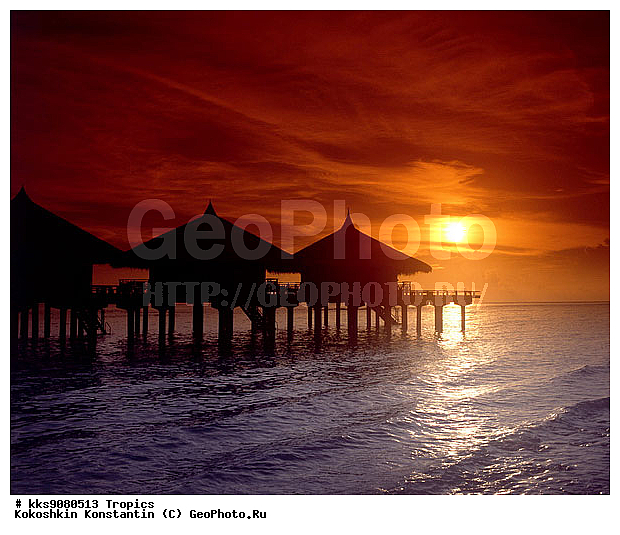 ������, ����, �����, ���, �������