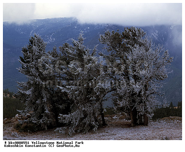 �������, �����������, ������������ ����