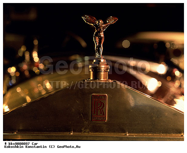 ����, ����������, ������, ���������