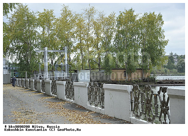 �����, �����