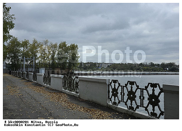 �����, �����