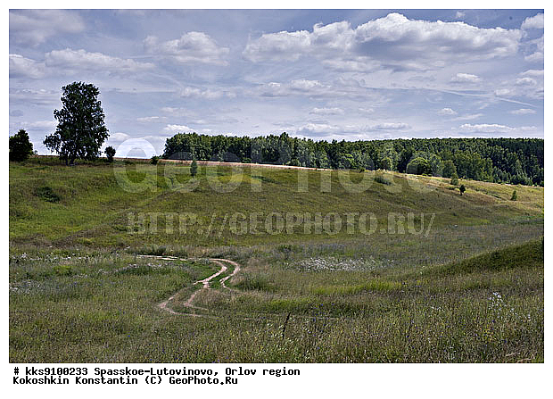 ���������, ���������� �����, �������