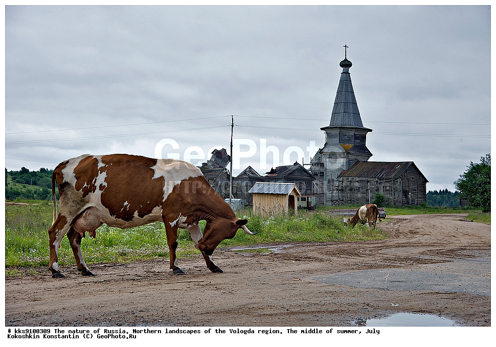 ����������� ������������  ����, ����� ����������, ���� 2009