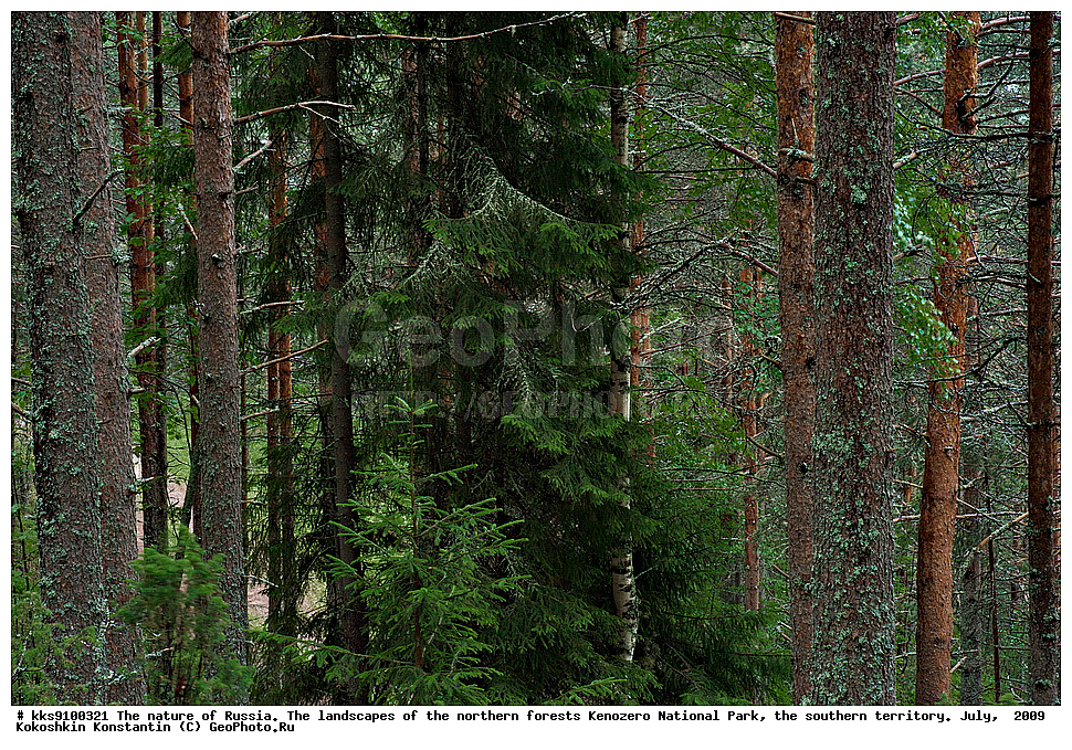  ����������� ������������  ����, ����� ����������, ���� 2009, ���, �����, �������� ���, ������� ���, ������, �������