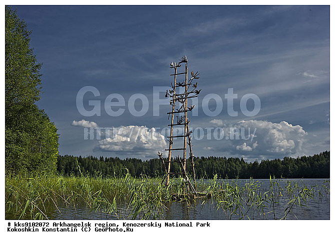 ���, ������������� �������, ����������, �����������, ���������, ����-���, ��������, ������, �����, ��������, ����, ���, �������, ����, ��� �������� �����, ������������