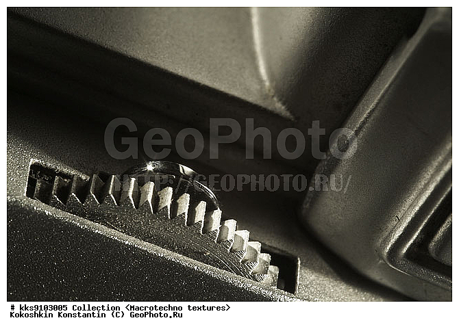 ��������������, ������, ��������, ����, �������, �����������