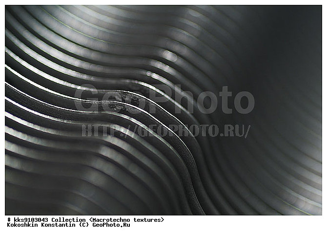 �������������, ������, �����, ��������, ����������, ���������, ����������� ������, �����������