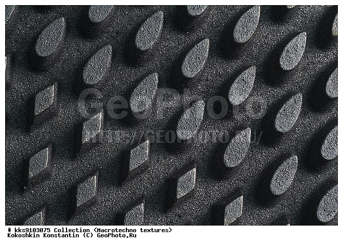 �������������, ������, �����, ��������, ����������, ���������, ����������� ������, �����������