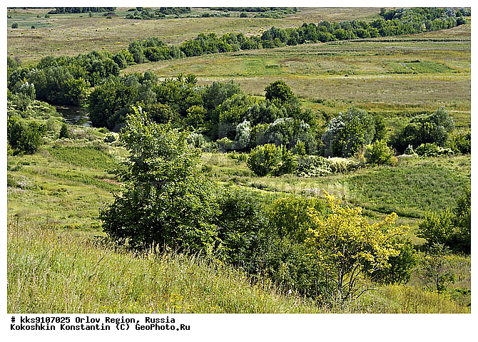 ������, ���������, ����, �������