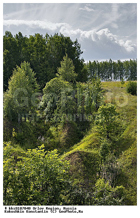 ������, ���������, ����, �������