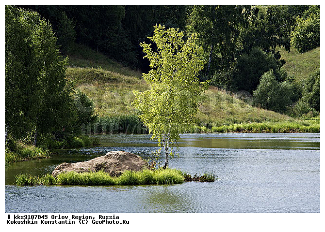 ������, ���������, ����, �������