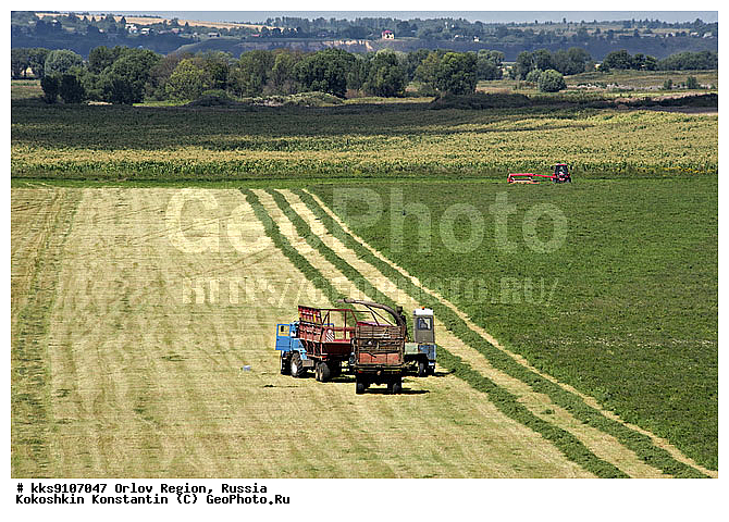 ������, ���������, ����, �������