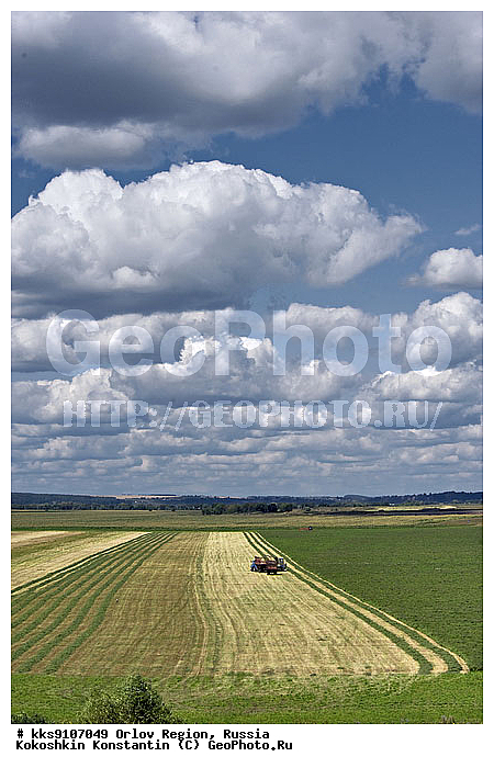 ������, ���������, ����, �������