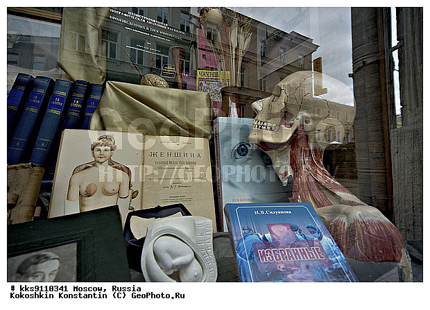 ������������ ��������, �������, ����������� �����, ������, �����, �������, �����