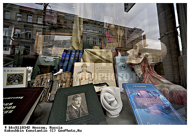 ������������ ��������, �������, ����������� �����, ������, �����, �������, �����