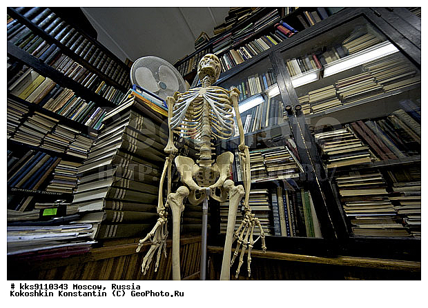 ������������ ��������, �������, ����������� �����, ������, �����, �������, �����