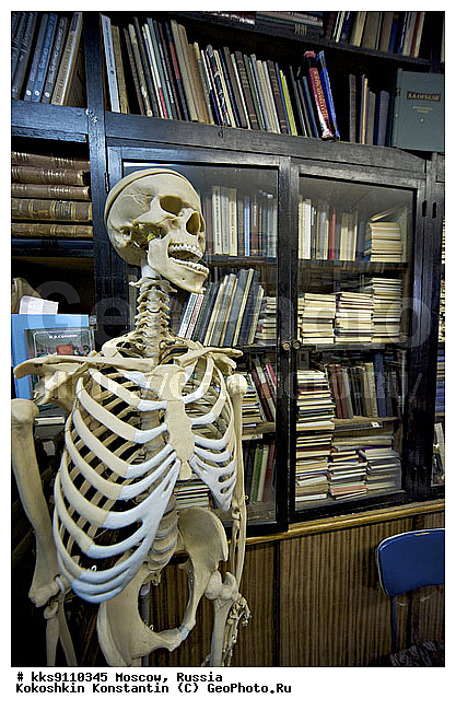 ������������ ��������, �������, ����������� �����, ������, �����, �������, �����