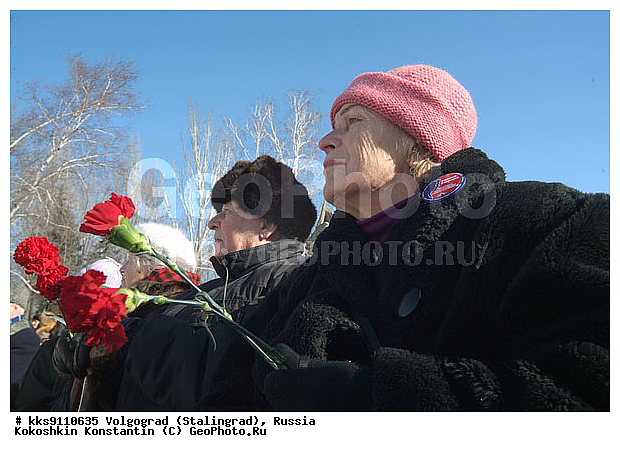 ���, ������� �������������, ���������, ������ ������, ����������, �������������� �����, �����, ���������