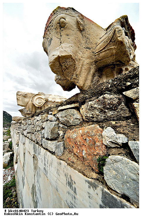 ������, ����, �����, ������ �����