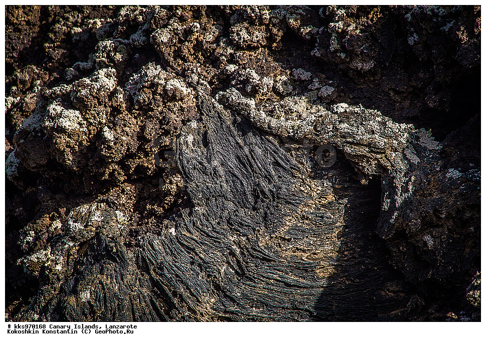   ������������� �����, ������, ���������, ������, �������, ��������, ����, ����������, �����, ������, ����, ������ ������, ������������ ���� ���������, ������, ������, �����, ������, �������, �����������, �����, ������