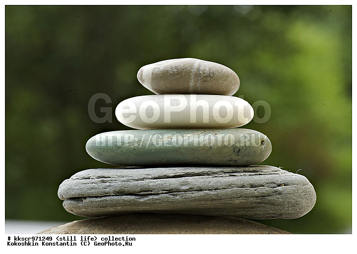 �����, �������, ���������, ��������, ����������