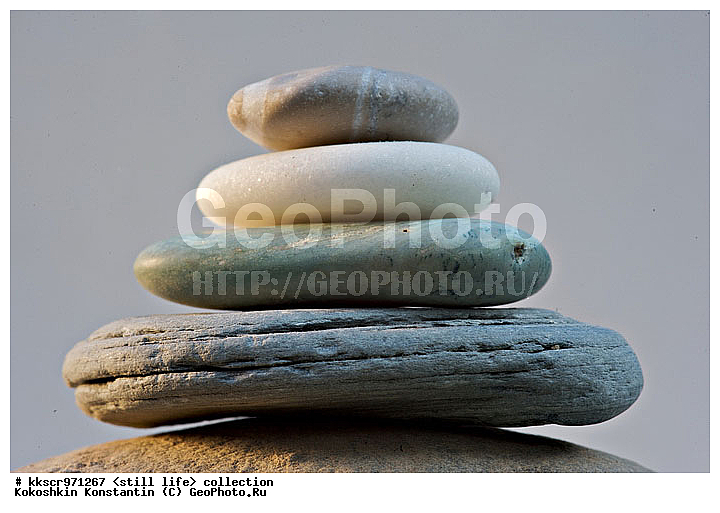 �����, �������, ���������, ��������, ����������