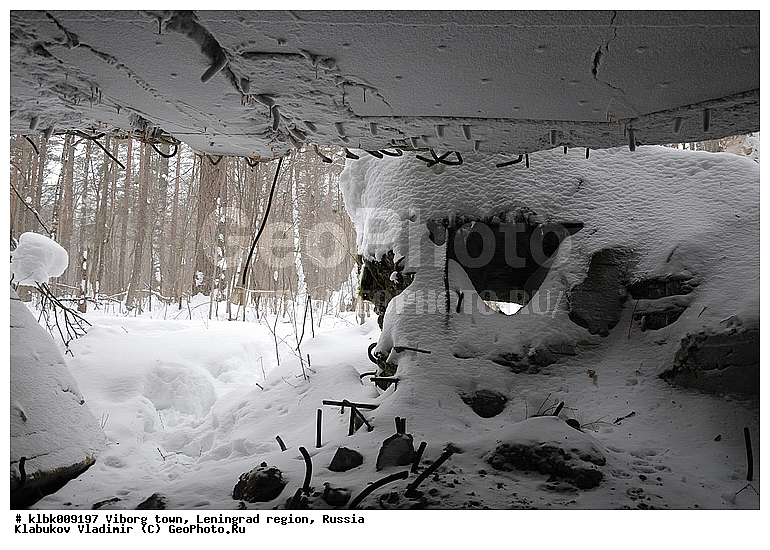 ������, ���, ������ �����, ����� �����������, ����������, �����, ����������