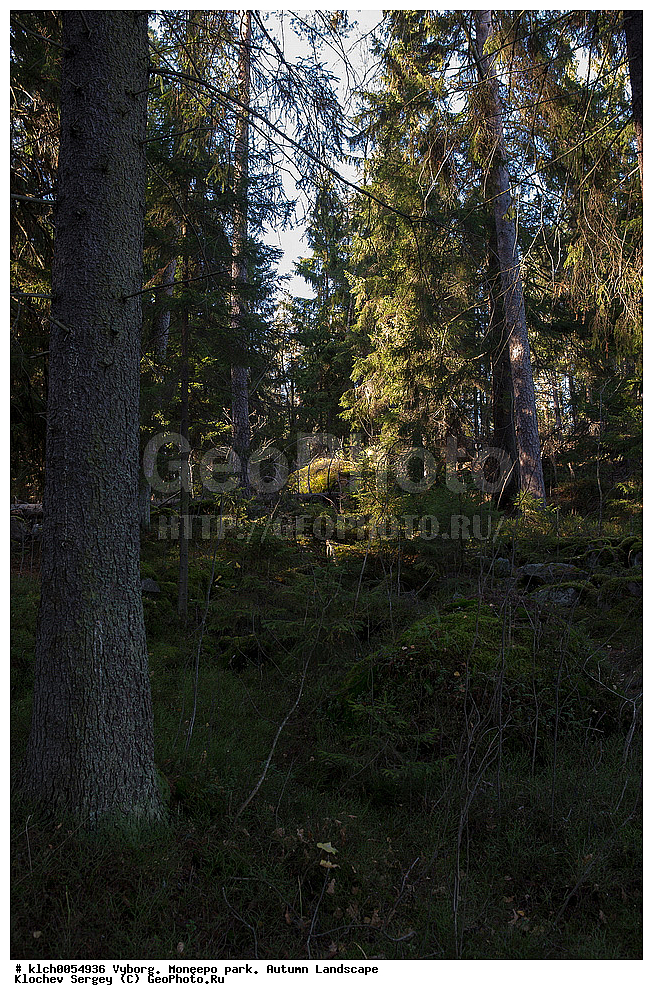 ������, ����, �������, ������� ������, �����, �����, ������