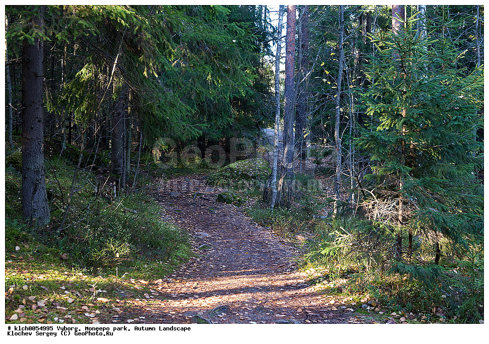 ������, ����, �������, ������� ������, �����, �����, ������